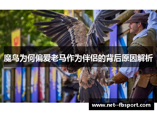 魔鸟为何偏爱老马作为伴侣的背后原因解析